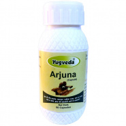 Arjuna Yugveda