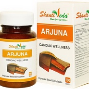 Arjuna Shanti Veda