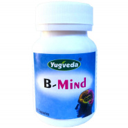 B-Mind Yugveda