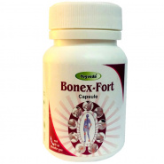 Bonex-Fort Yugveda