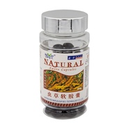 Cordyceps Aweto Capsules Natural