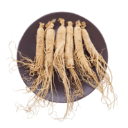 Ginseng Root 人参根 (ТКМ)