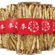 Ginseng Root 人参根 