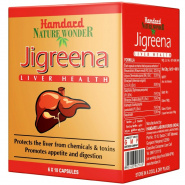 Jigreena Handard