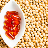 Lecithin