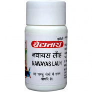 Navayas Lauh Baidyanath