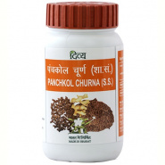 Panchkol Churna Patanjali