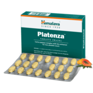 Platenza Himalay