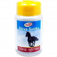 Shiva Gutika Shri Ganga