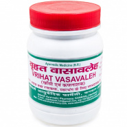 Vrihat Vasavalen Adarsh