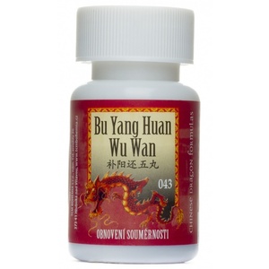 Bu Yang Huan Wu Wan
