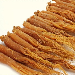 Ginseng Root 人参根 (ТКМ)