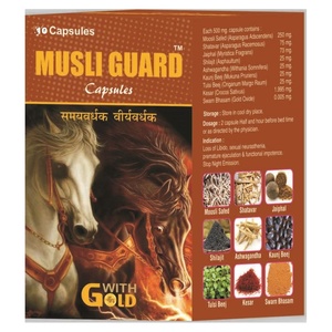 Musli Guard with gold 