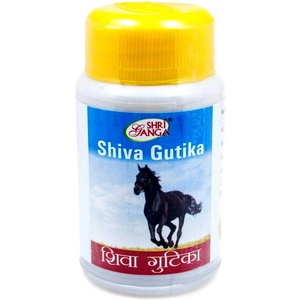 Shiva Gutika Shri Ganga